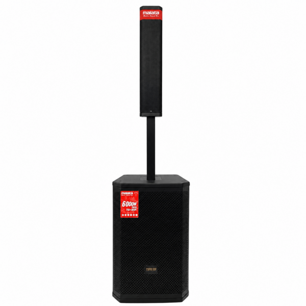 MALATA DUAL 10 INCH PROFESSIONAL SPEAKER